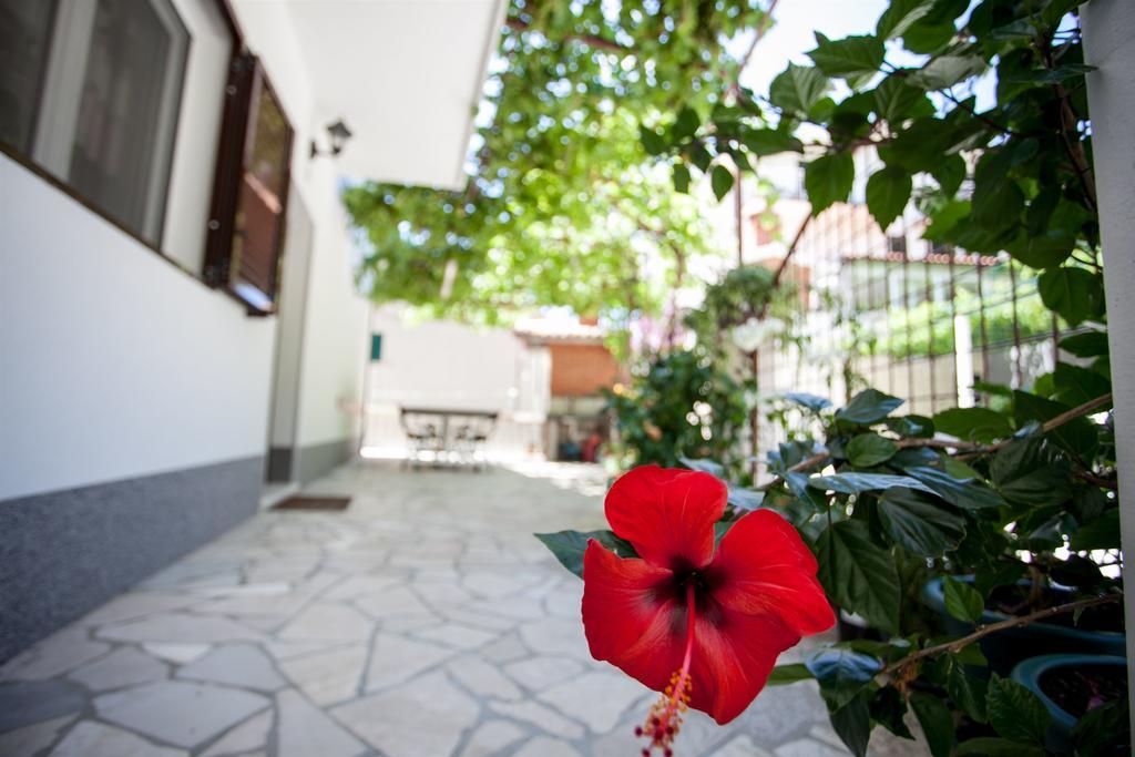 Apartments Mladen Duce Exterior photo